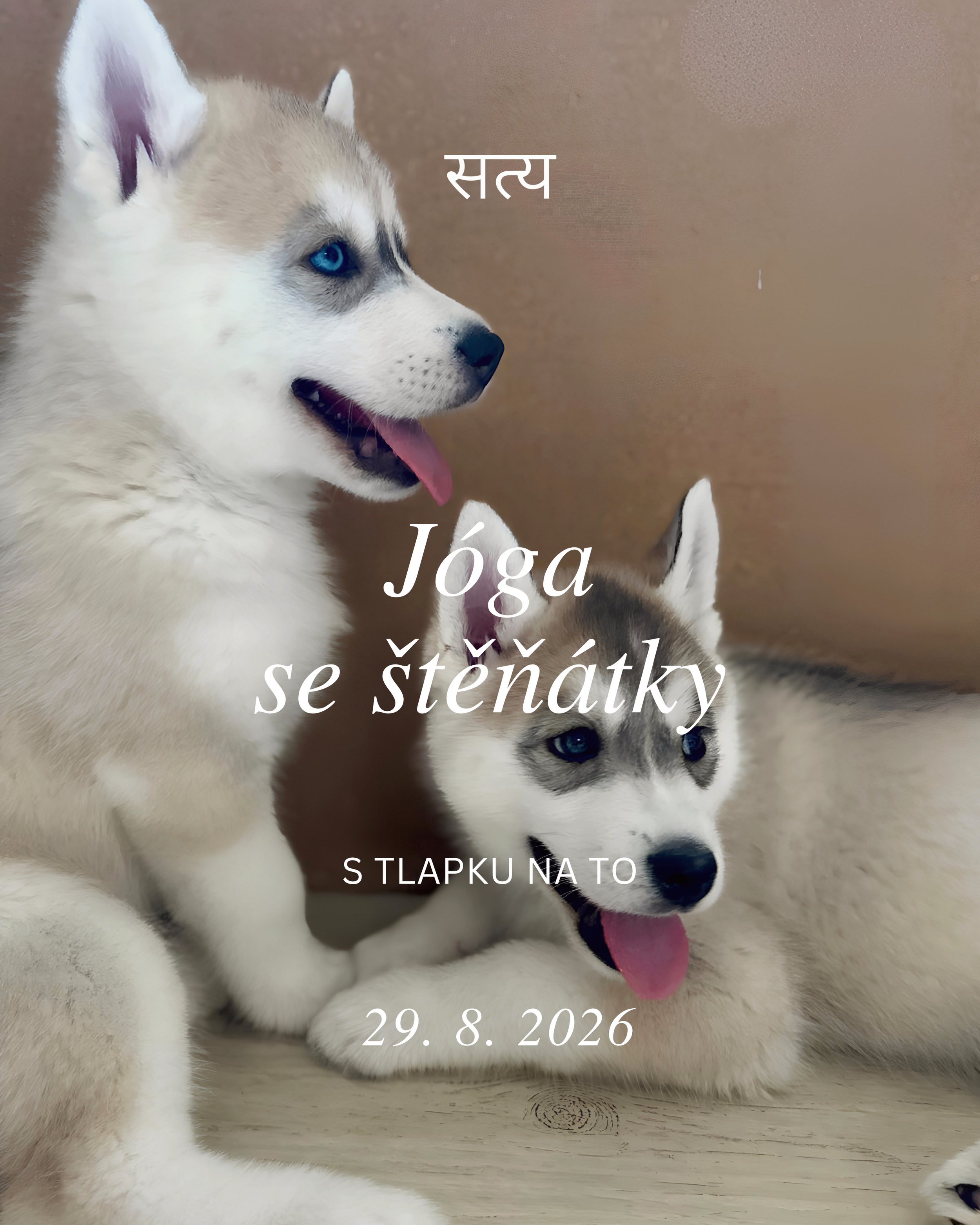 Jóga se štěňátky - pet terapie