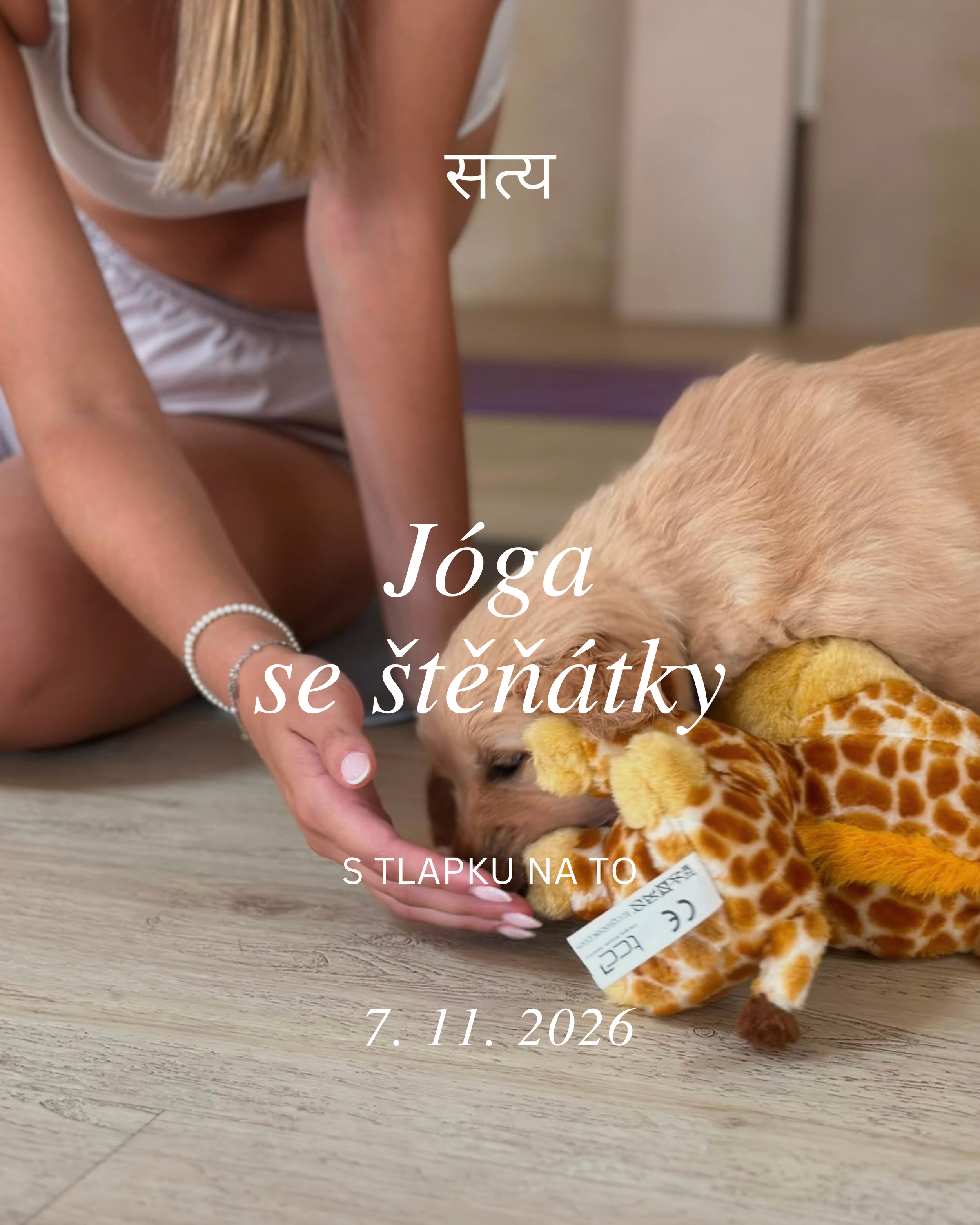 Jóga se štěňátky - pet terapie