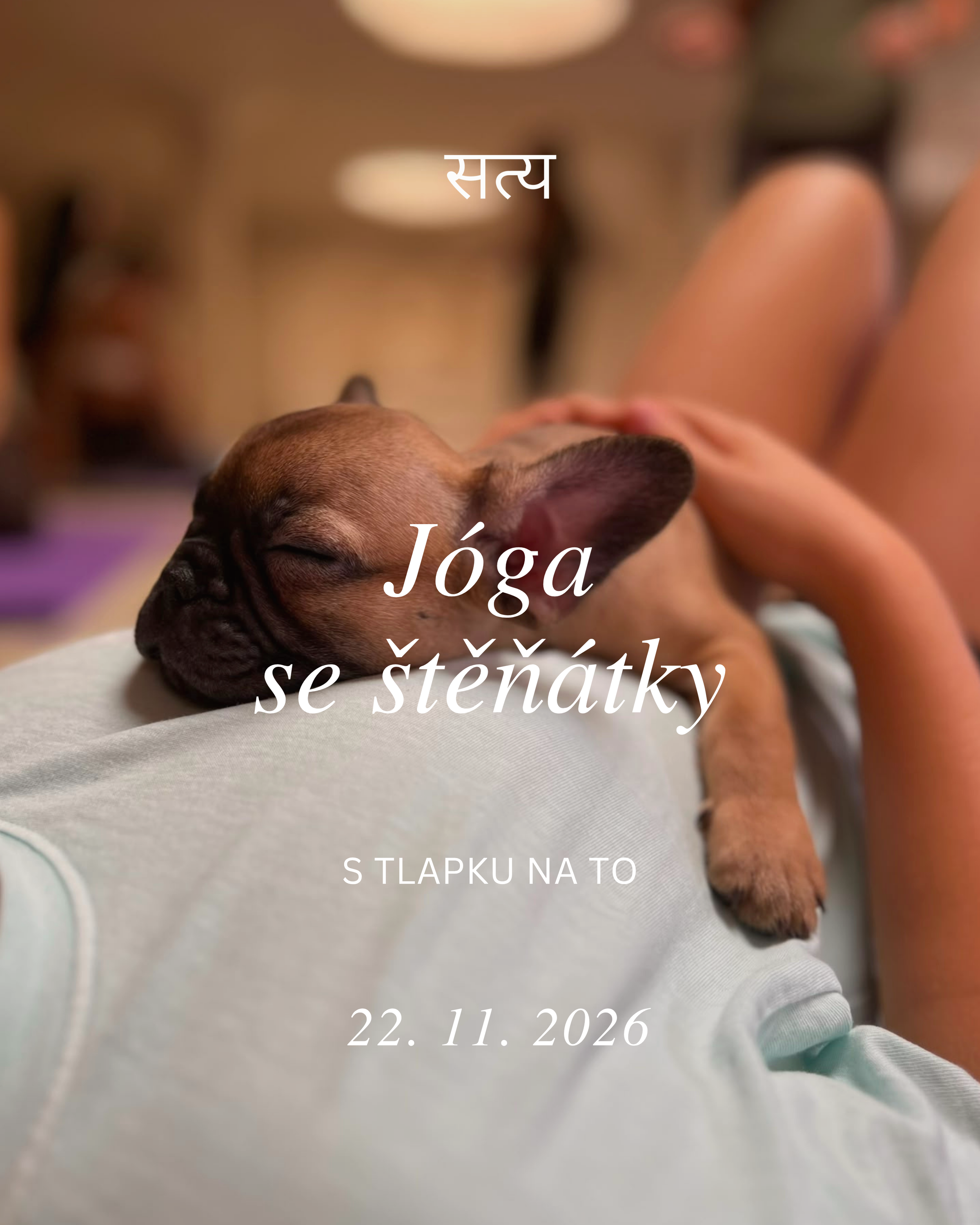 Jóga se štěňátky - pet terapie