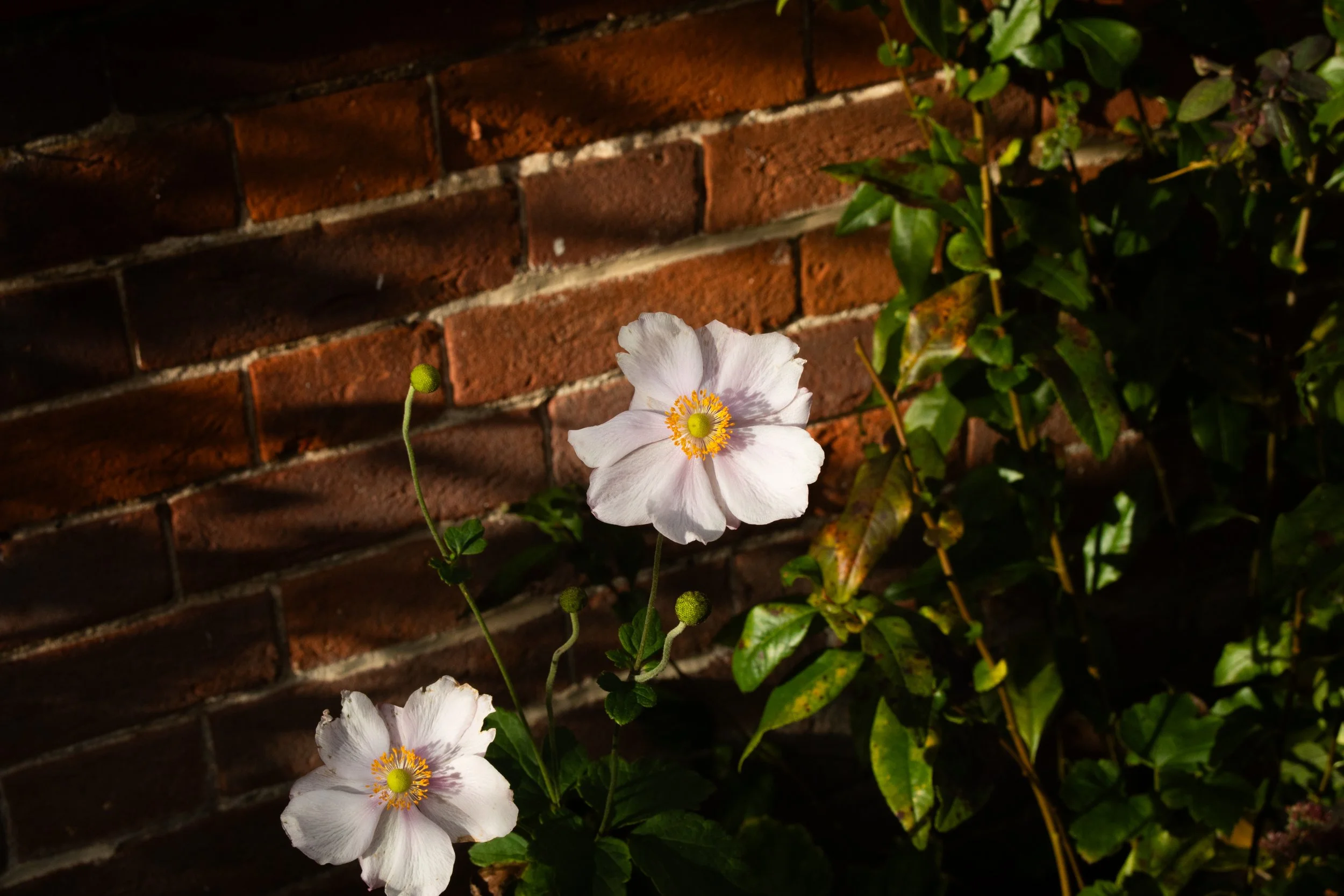 Monthly Mindful Photography Group