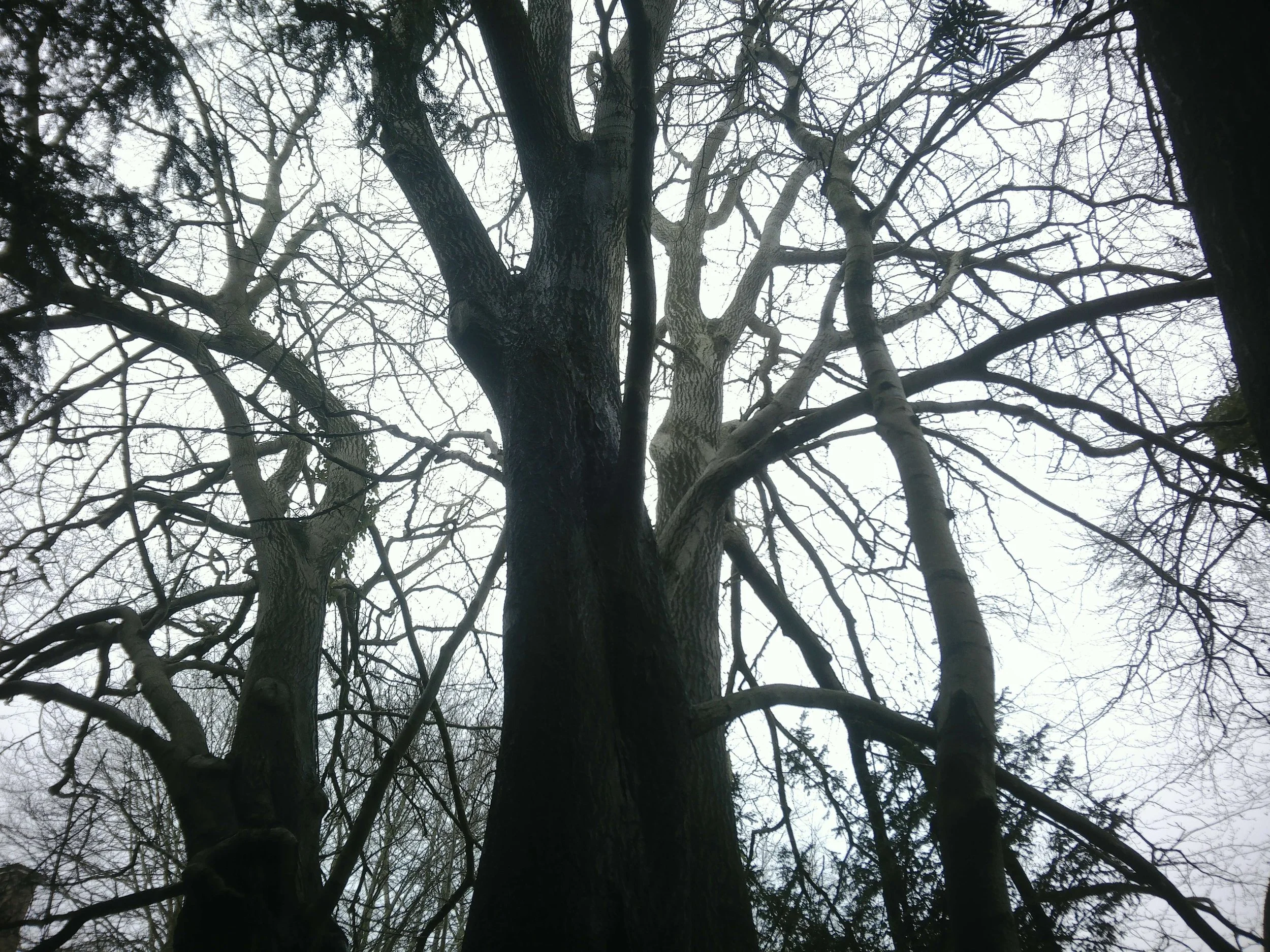 Participant Photo.JPG