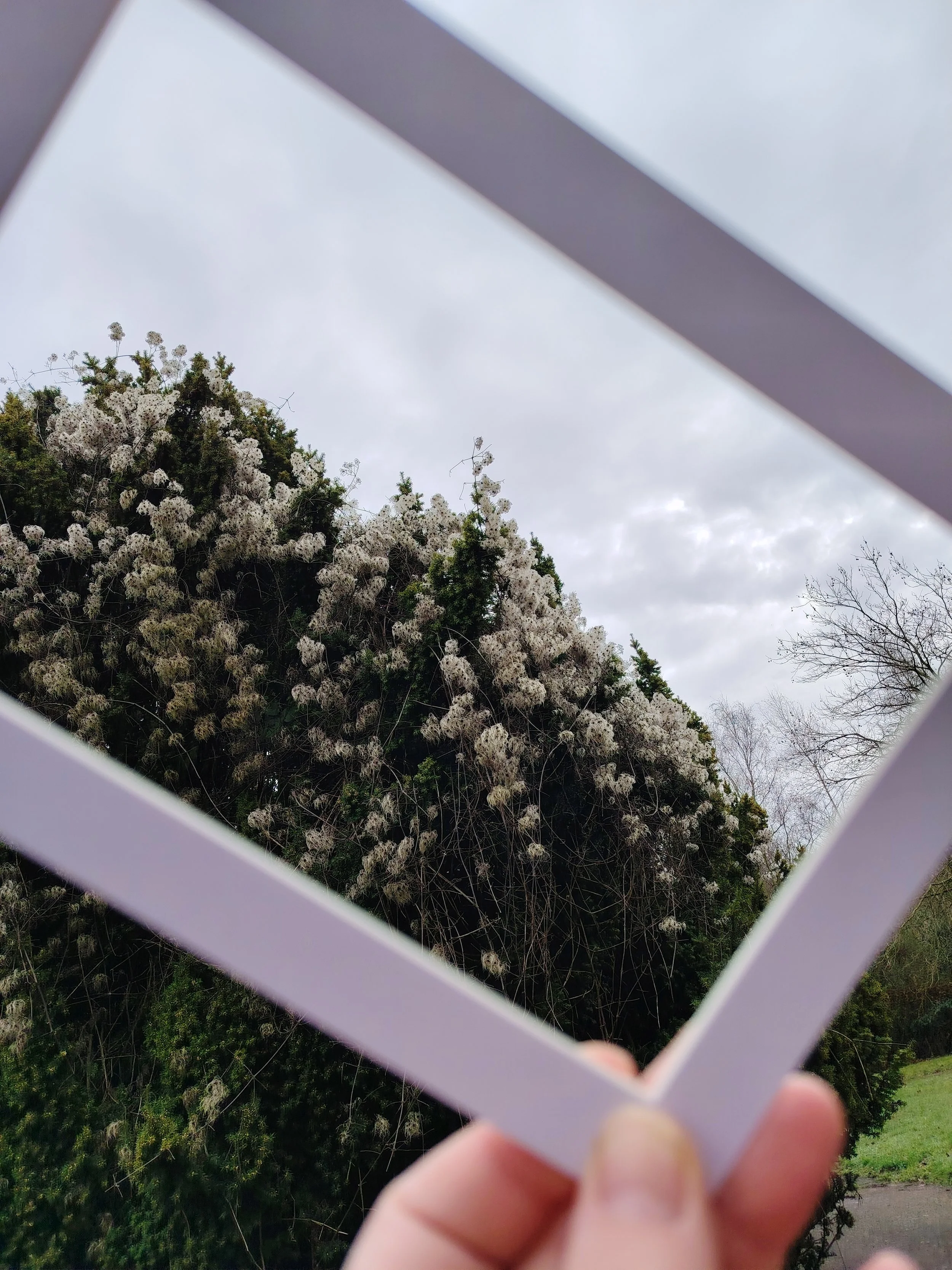 Mindful Photography Workshop | Norfolk Clubhouse