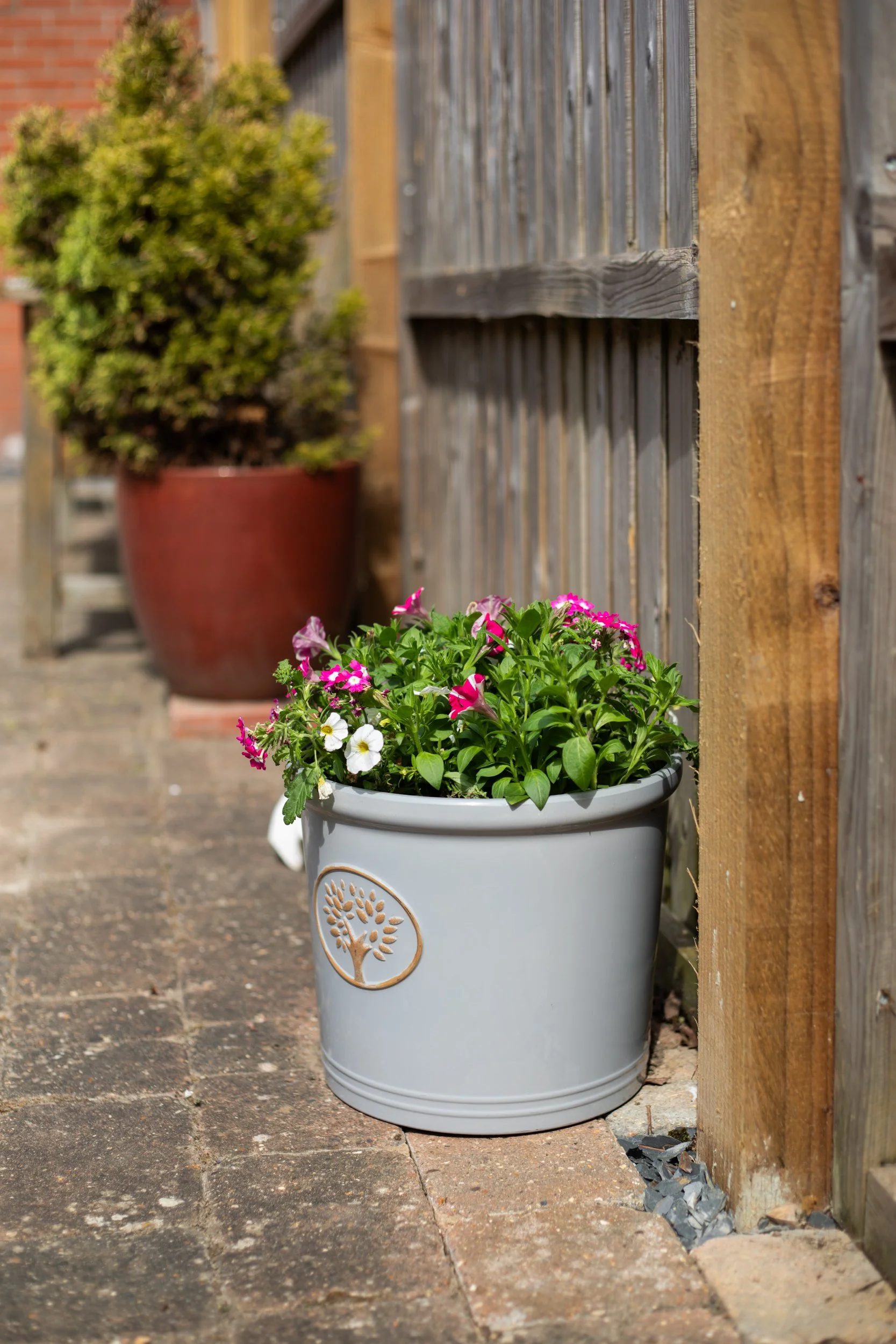 Haven - Outside (13).jpg