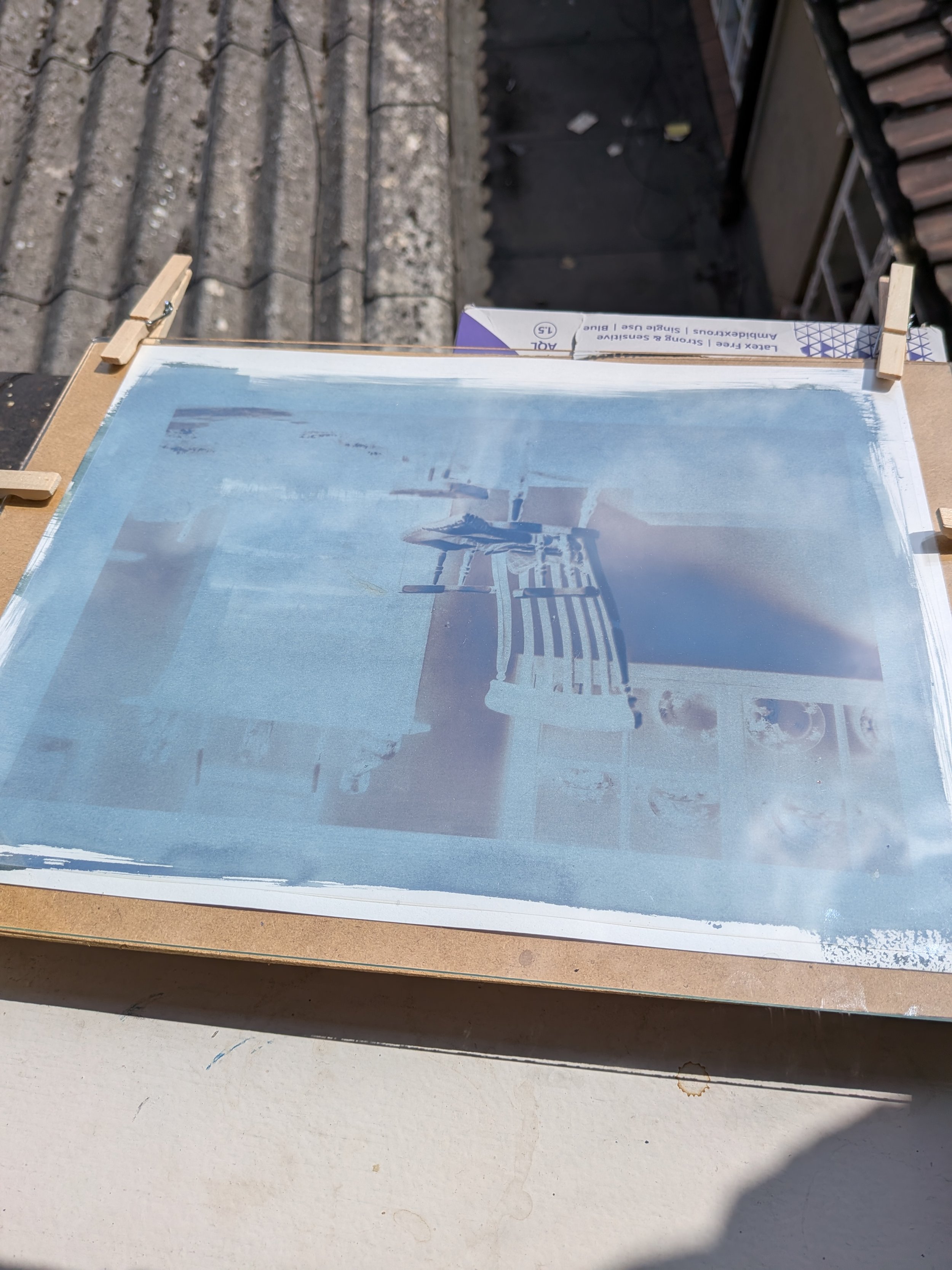 Cyanotype Experiment of photo from Autumn in the process of being exposed