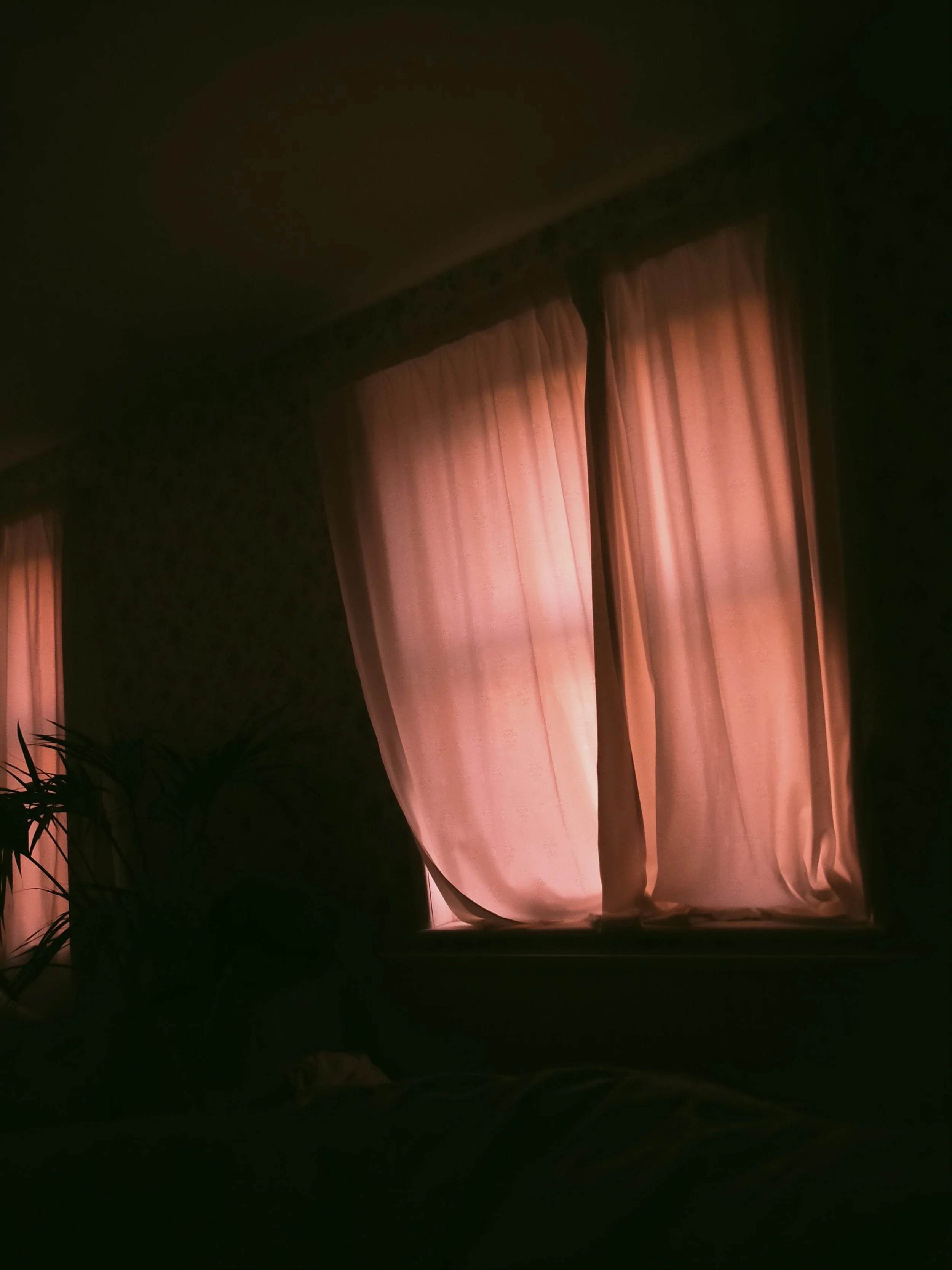 IMG20240219065547.jpg