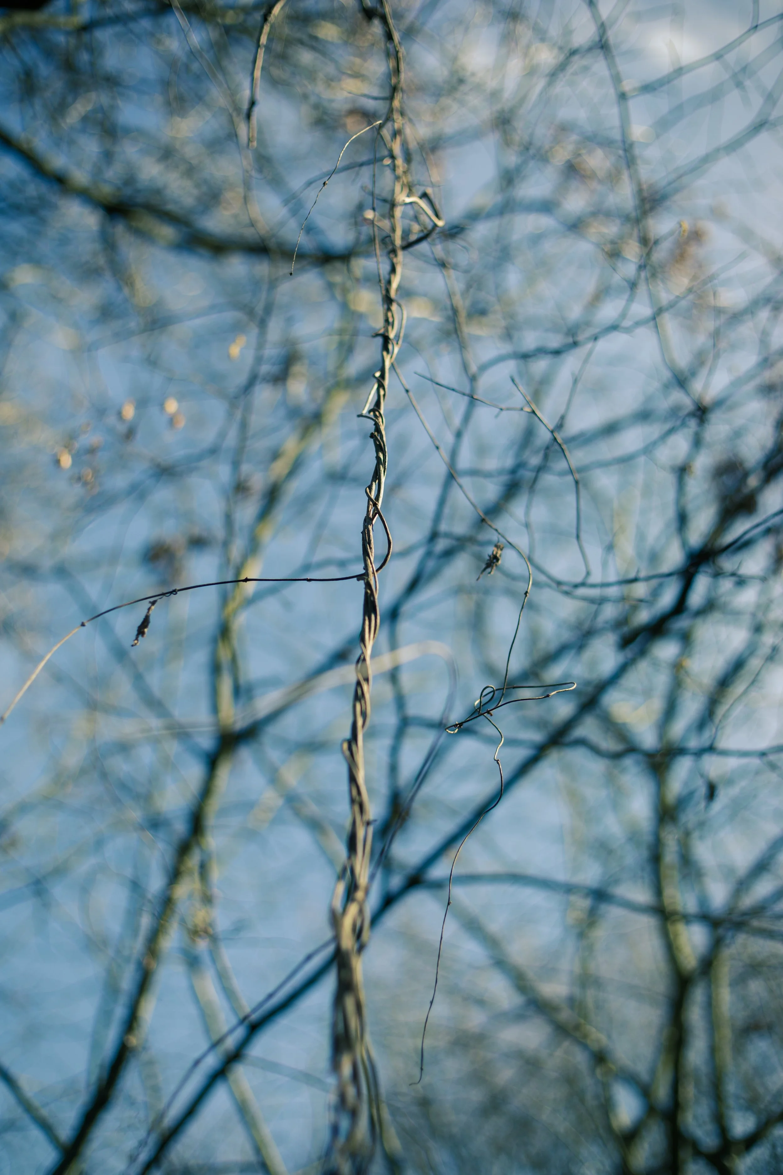 Becky_Demmen-Sewell_Natural Twine_2026_Photography_6720x4480.jpg