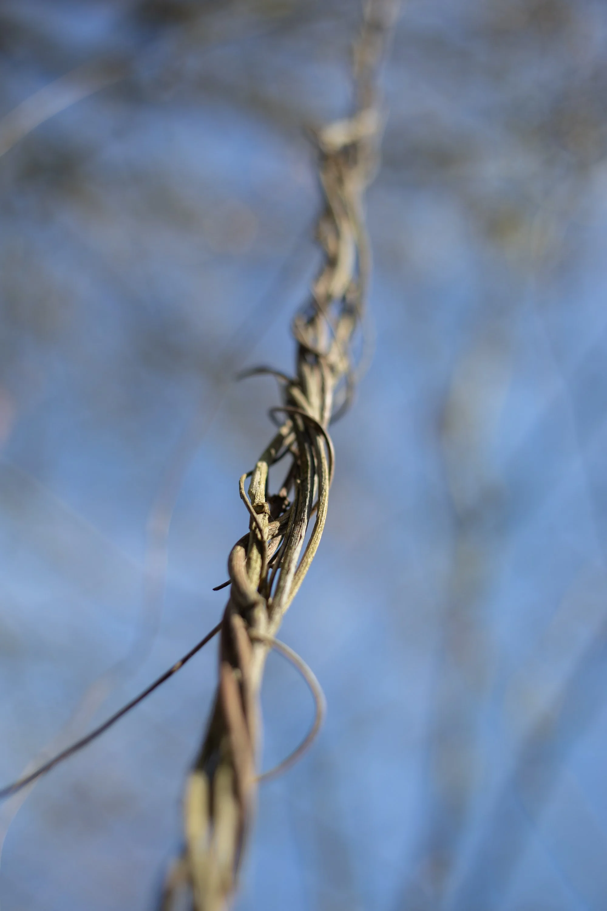 web-26.jpg