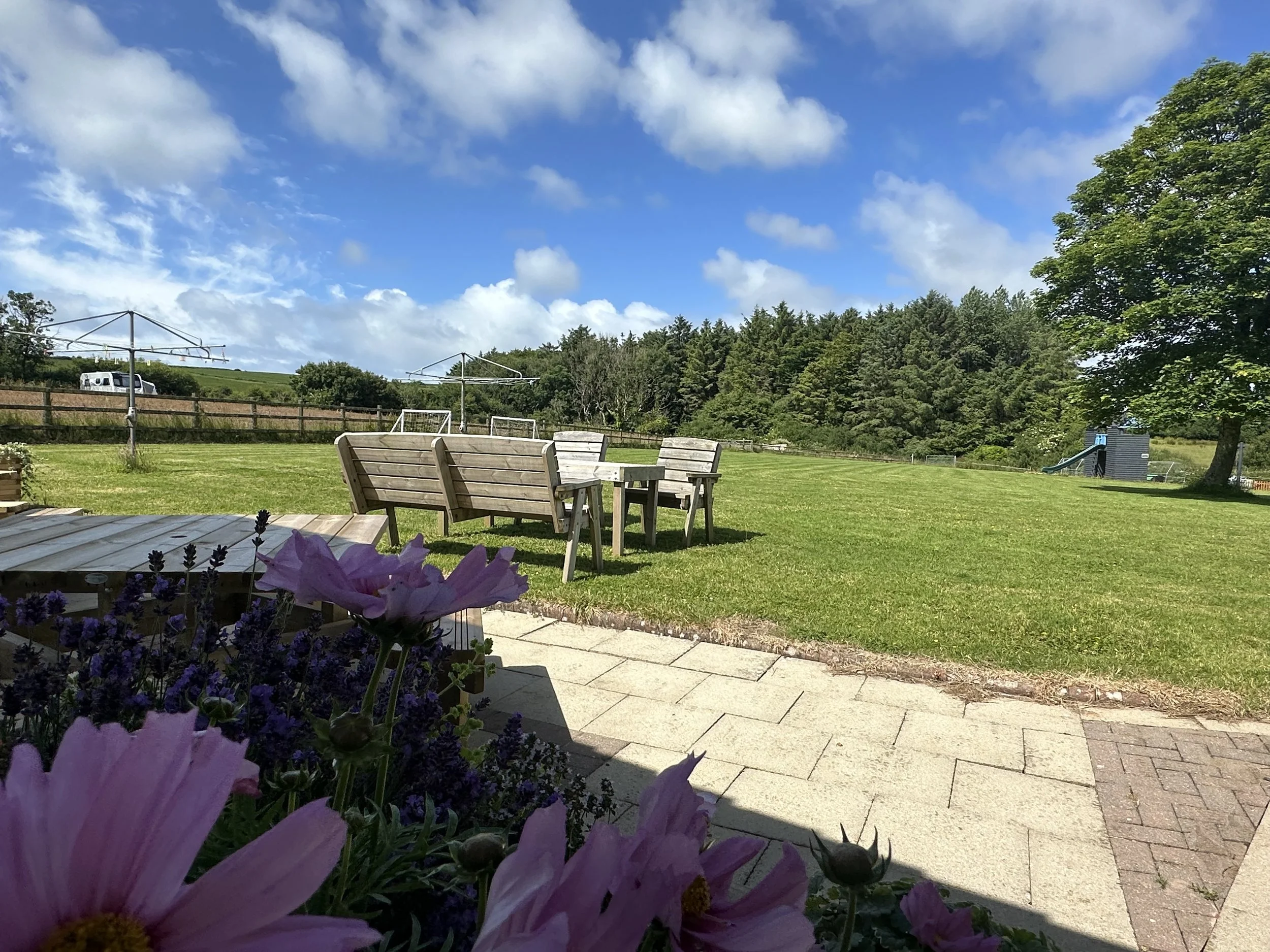 A backyard with a patio, pink flowers in the foreground, green grass, a large tree, wooden benches and chairs, a slide and climbing structure in the background, and a clear blue sky with some clouds.