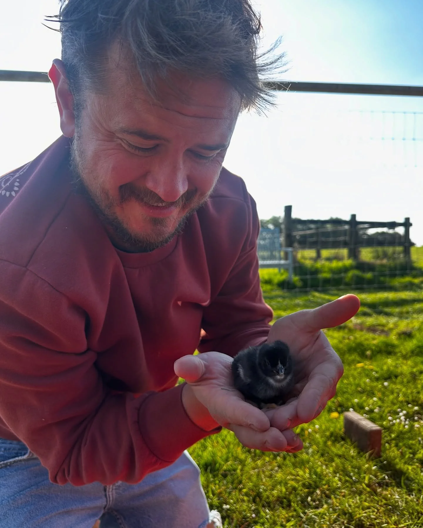 Our first chick expertly hatched by our little bantam, Snowy 🐣