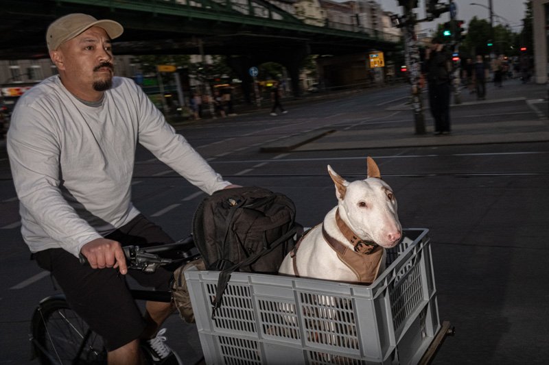 Dogs being carried00039.jpg