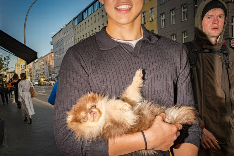 Dogs being carried00013.jpg