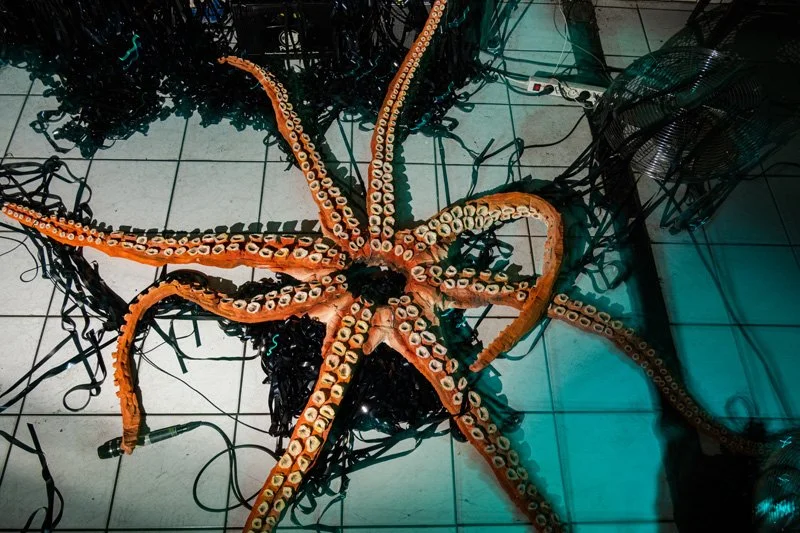Octopus Performance_30.jpg