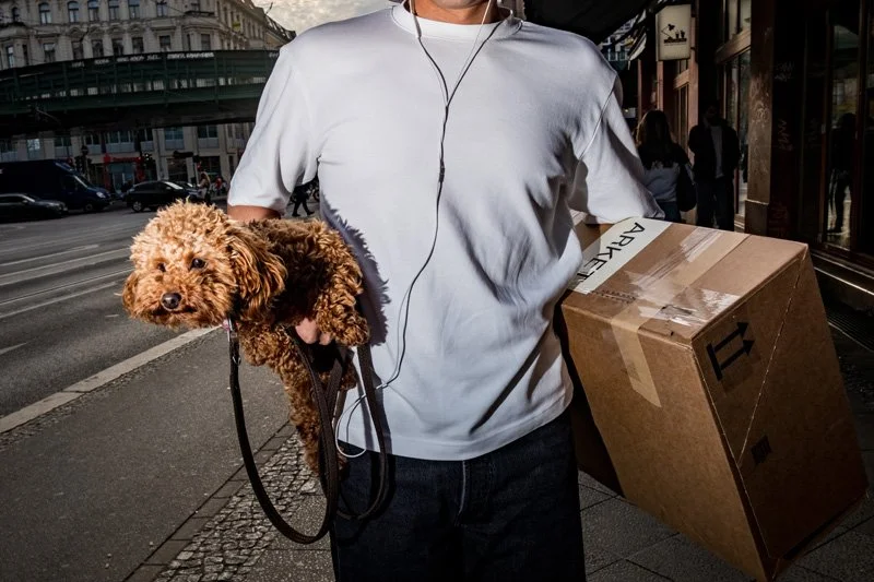 Dogs being carried00019.jpg