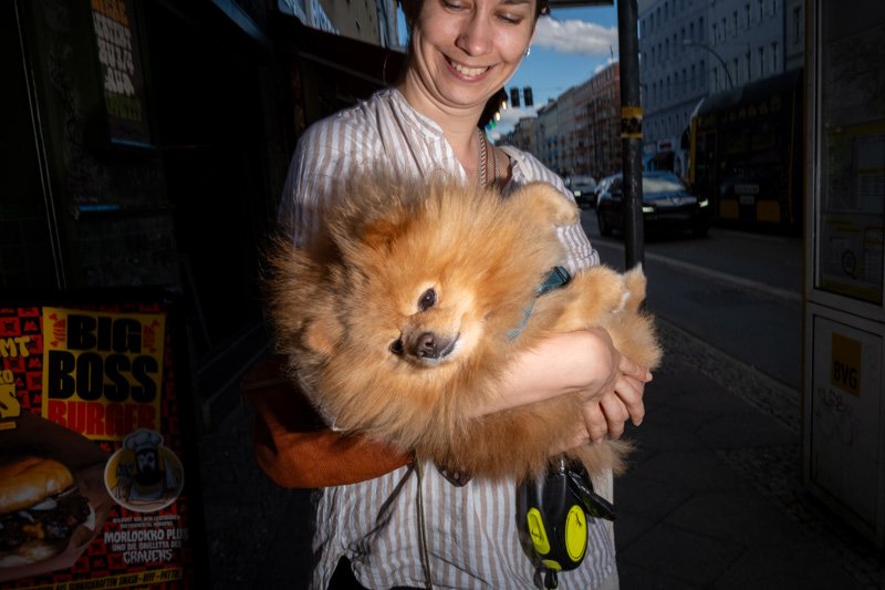 Dogs being carried00043.jpg