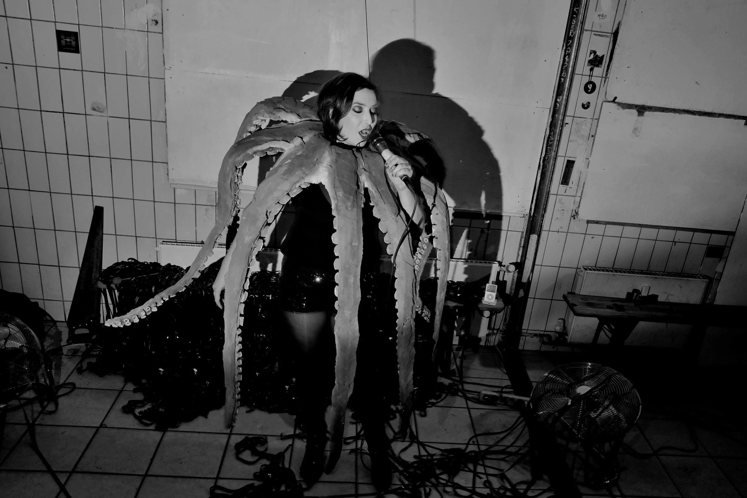 Octo-No-web-15--.jpg