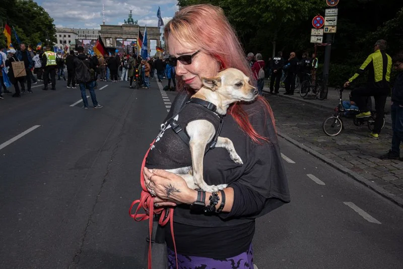 Dogs being carried00011.jpg