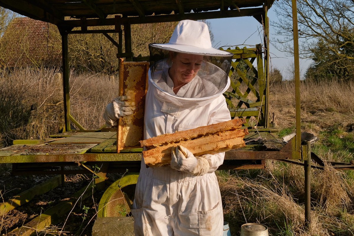 Bees web-5.jpg