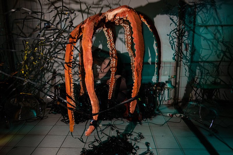 Octopus Performance_14.jpg