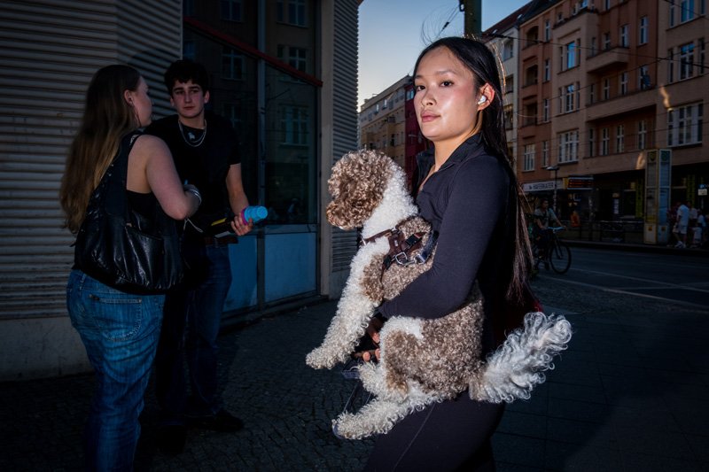 Dogs being carried00036.jpg