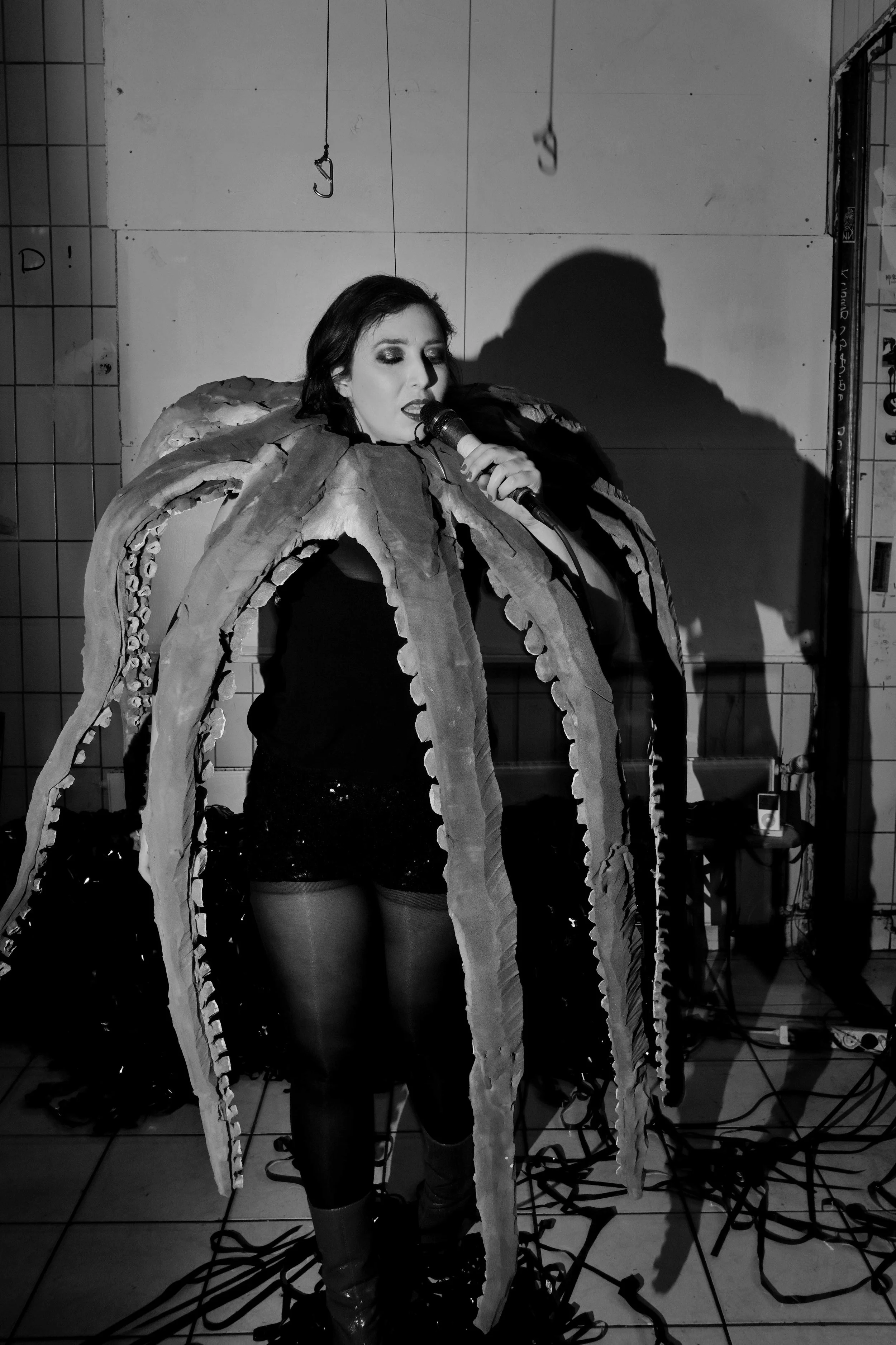 Octo-No-web-10--.jpg
