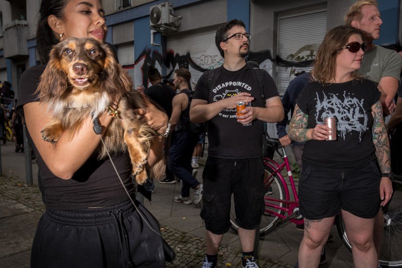 Dogs being carried00027.jpg