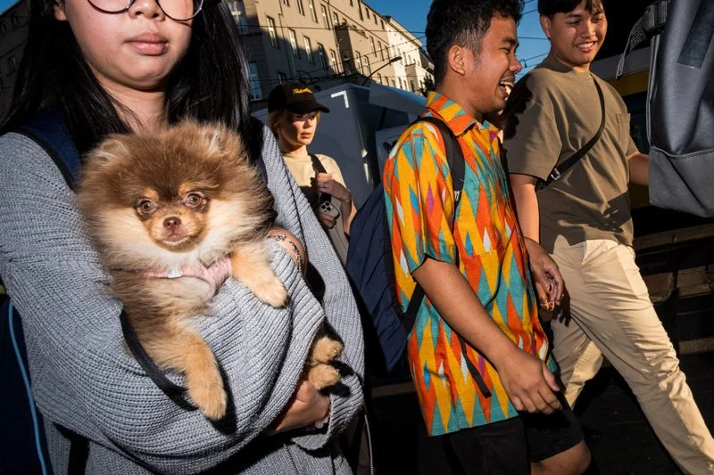 Dogs being carried00056.jpg