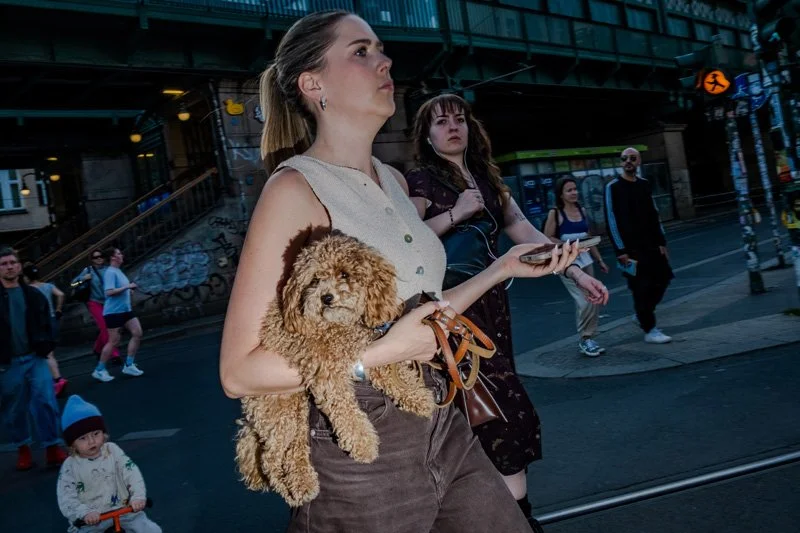 Dogs being carried00028.jpg