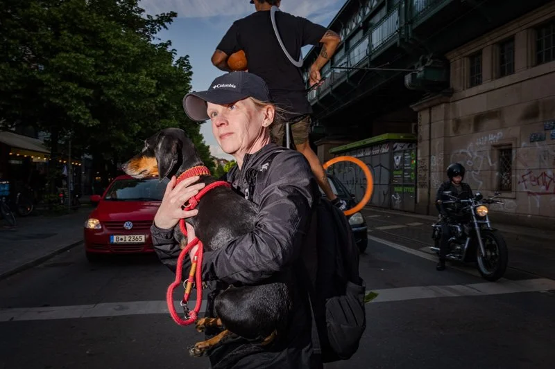 Dogs being carried00032.jpg