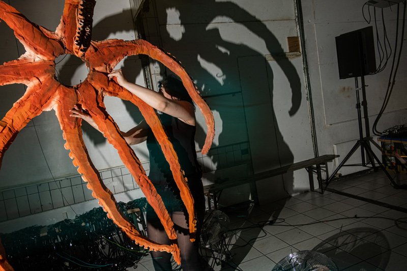 Octopus Performance_27.jpg