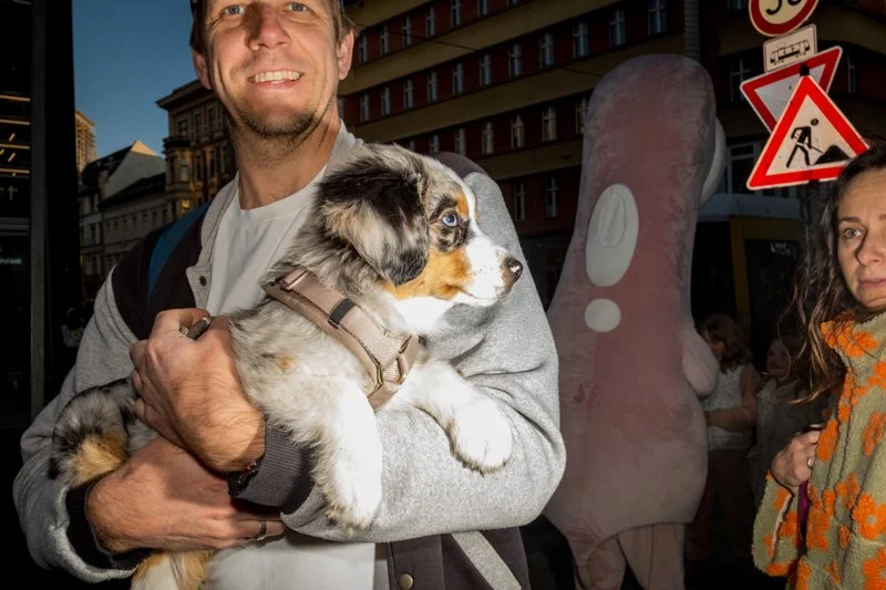 Dogs being carried00009.jpg