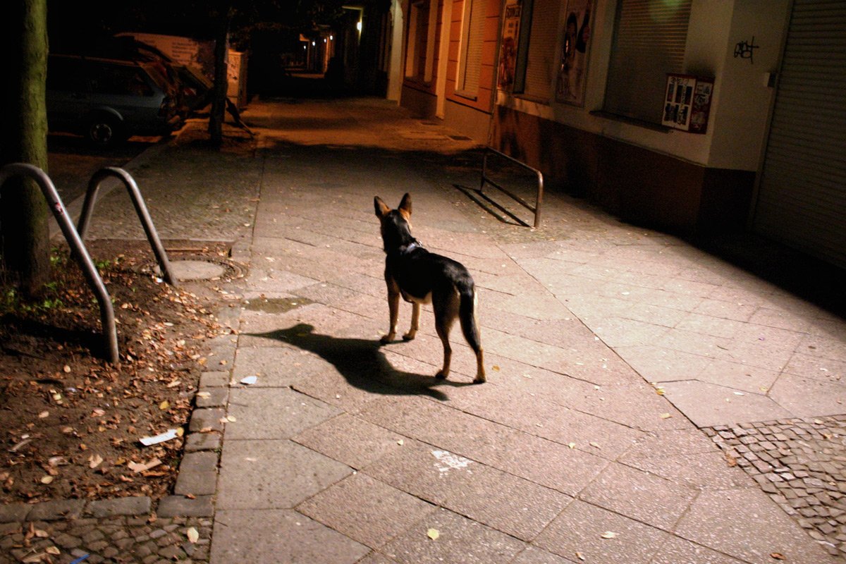IMG_KIEZ-night-13-.jpg