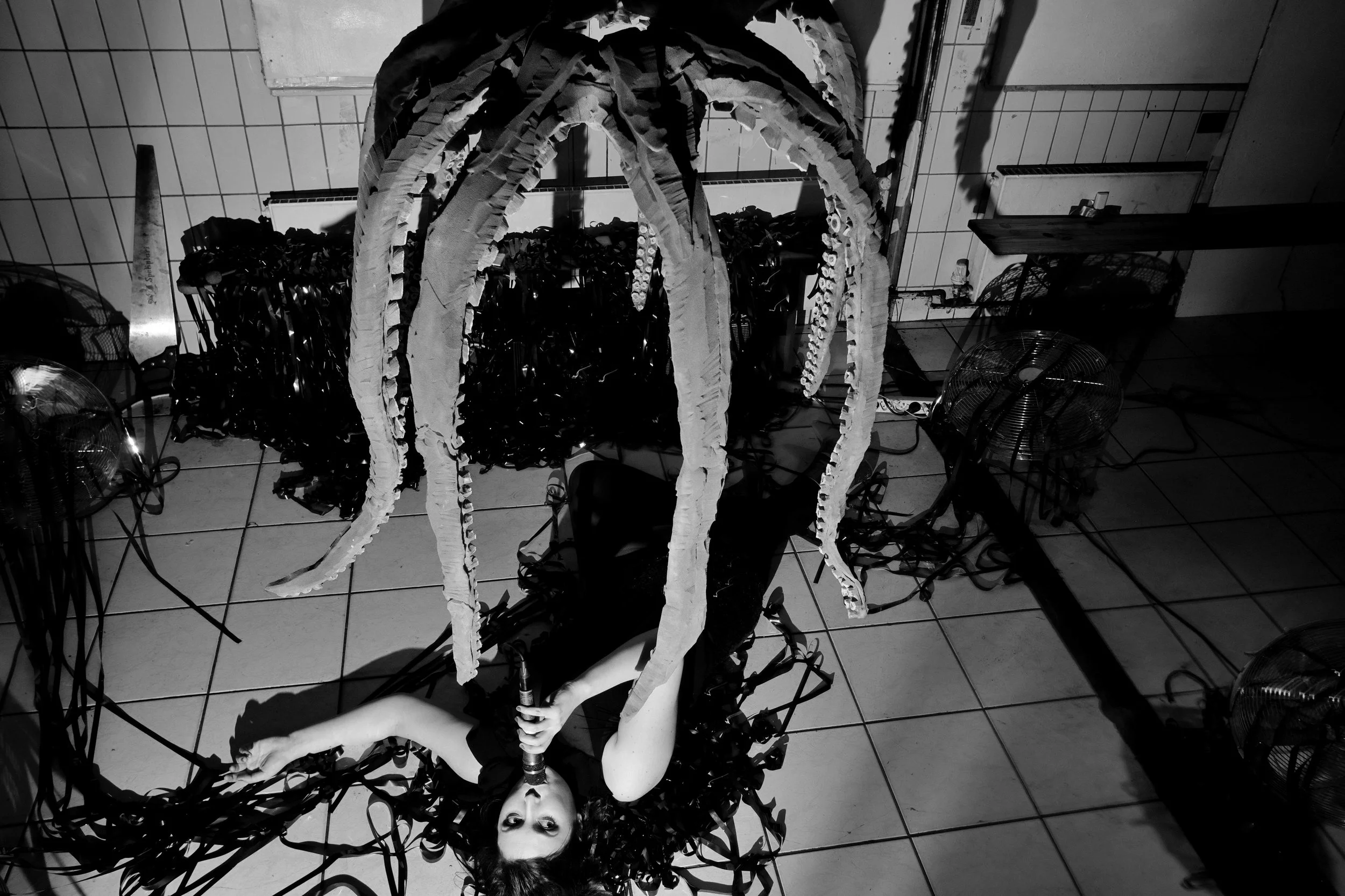 Octo-No-web-8--.jpg
