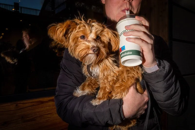 Dogs being carried00044.jpg