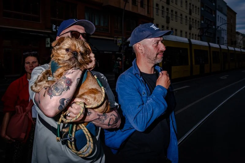 Dogs being carried00025.jpg