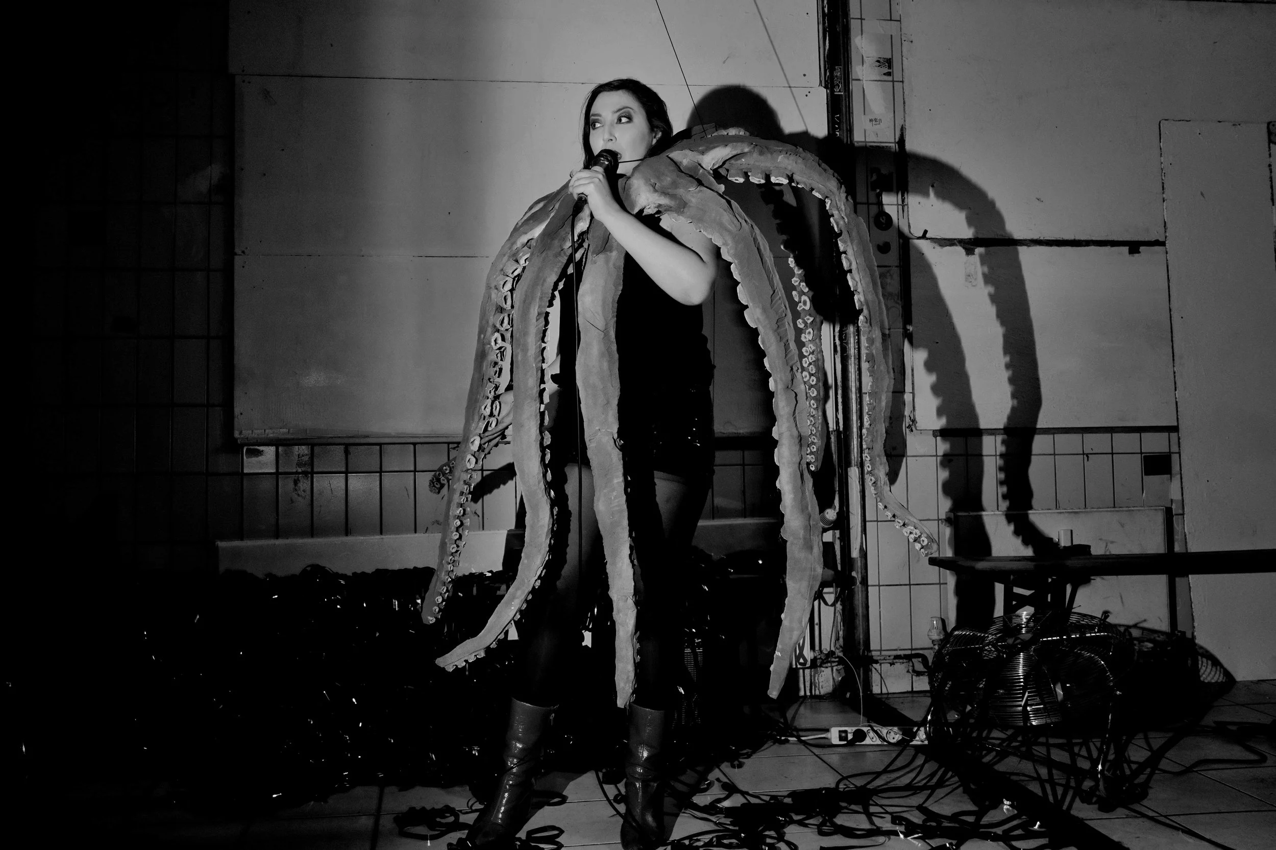 Octo-No-web-14--.jpg