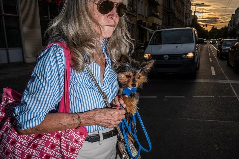 Dogs being carried00058.jpg