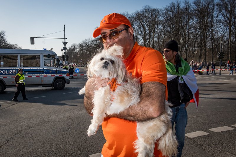 Dogs being carried00024.jpg