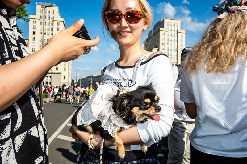 Dogs being carried00034.jpg