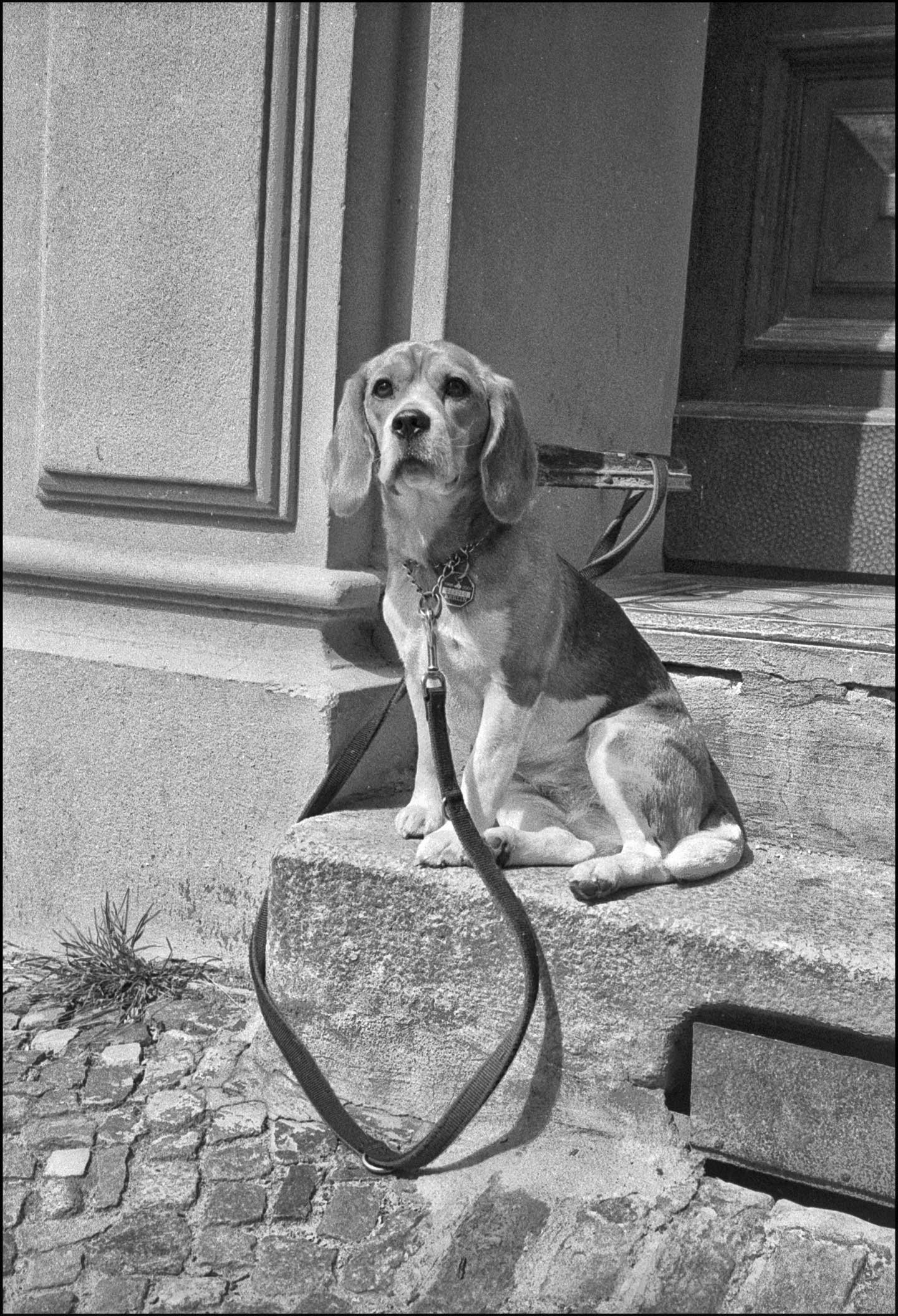 1999-BERLIN-35-.jpg