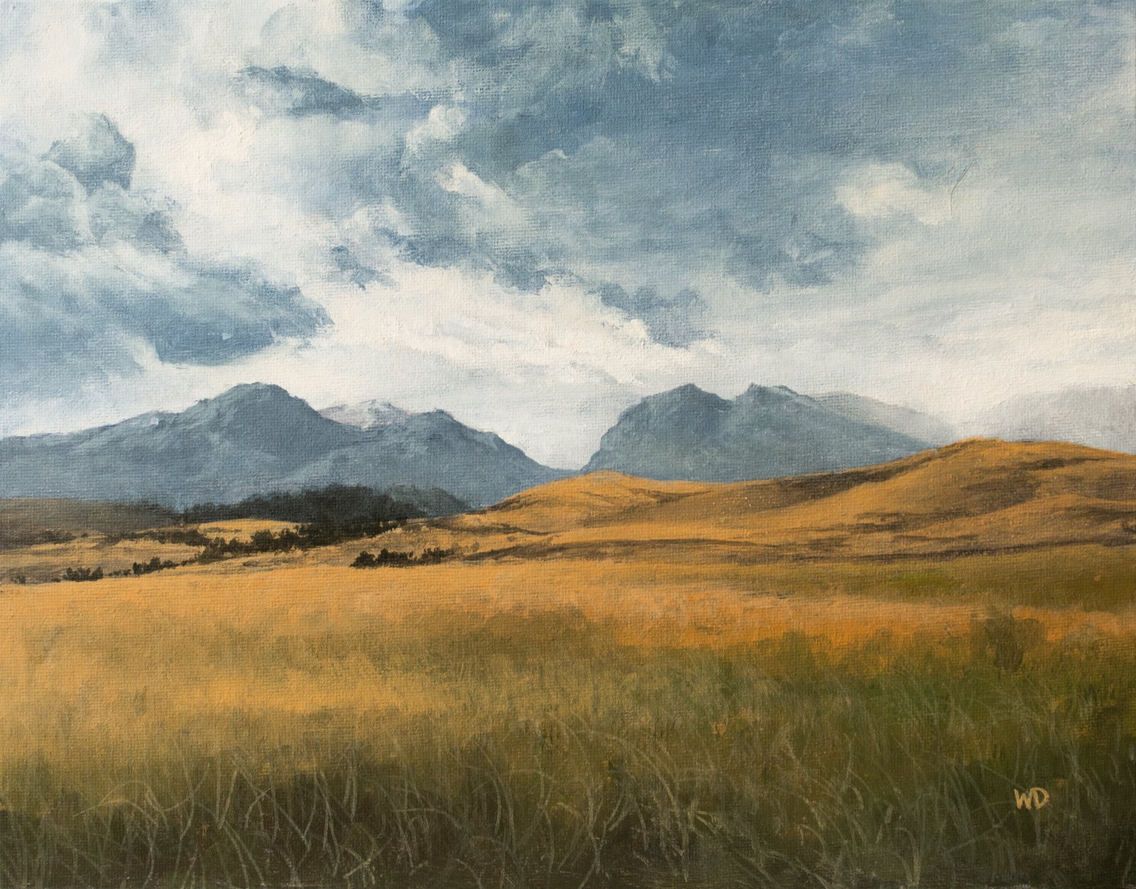 wide open grass prairie hills mountains in distance cloudy blue grey sky