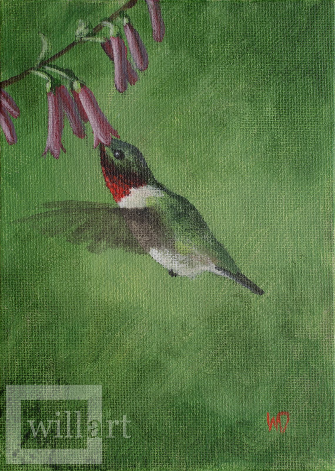 humming bird drinks from pink flower