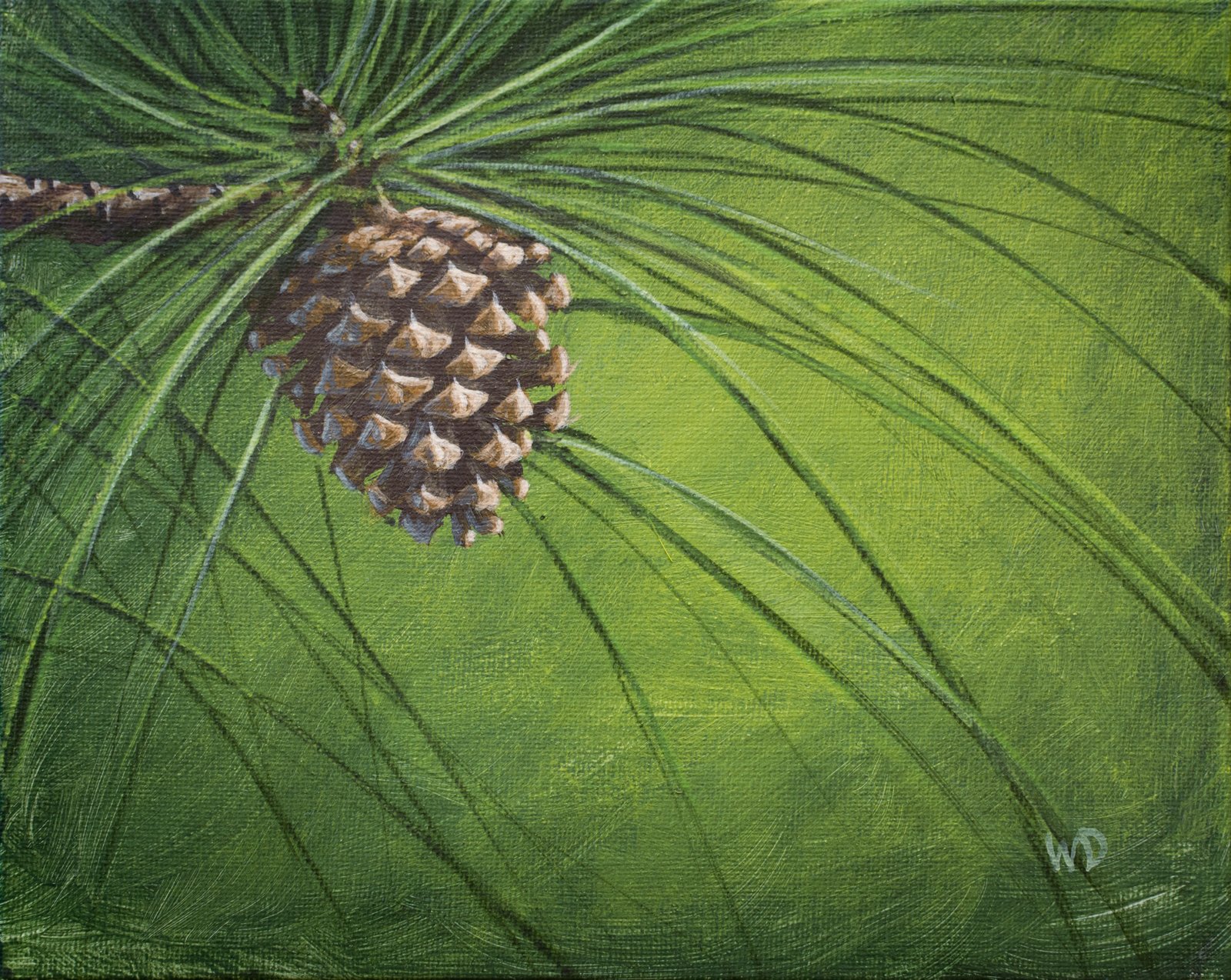 pine cone on green background
