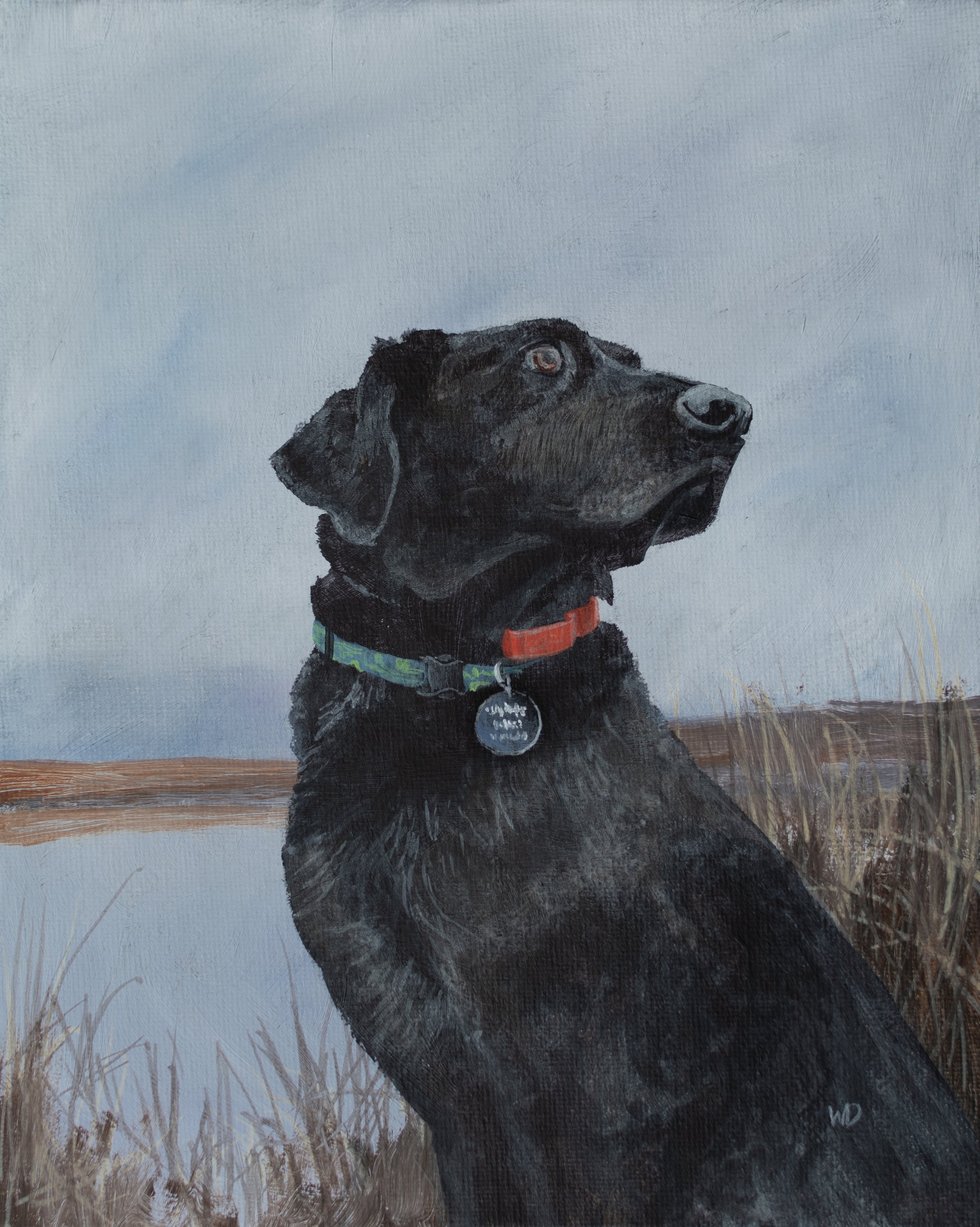 Black Lab no watermark copy.jpg