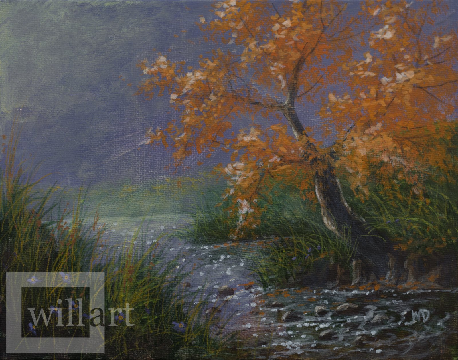 orange fall tree leans over stream with grassy banks