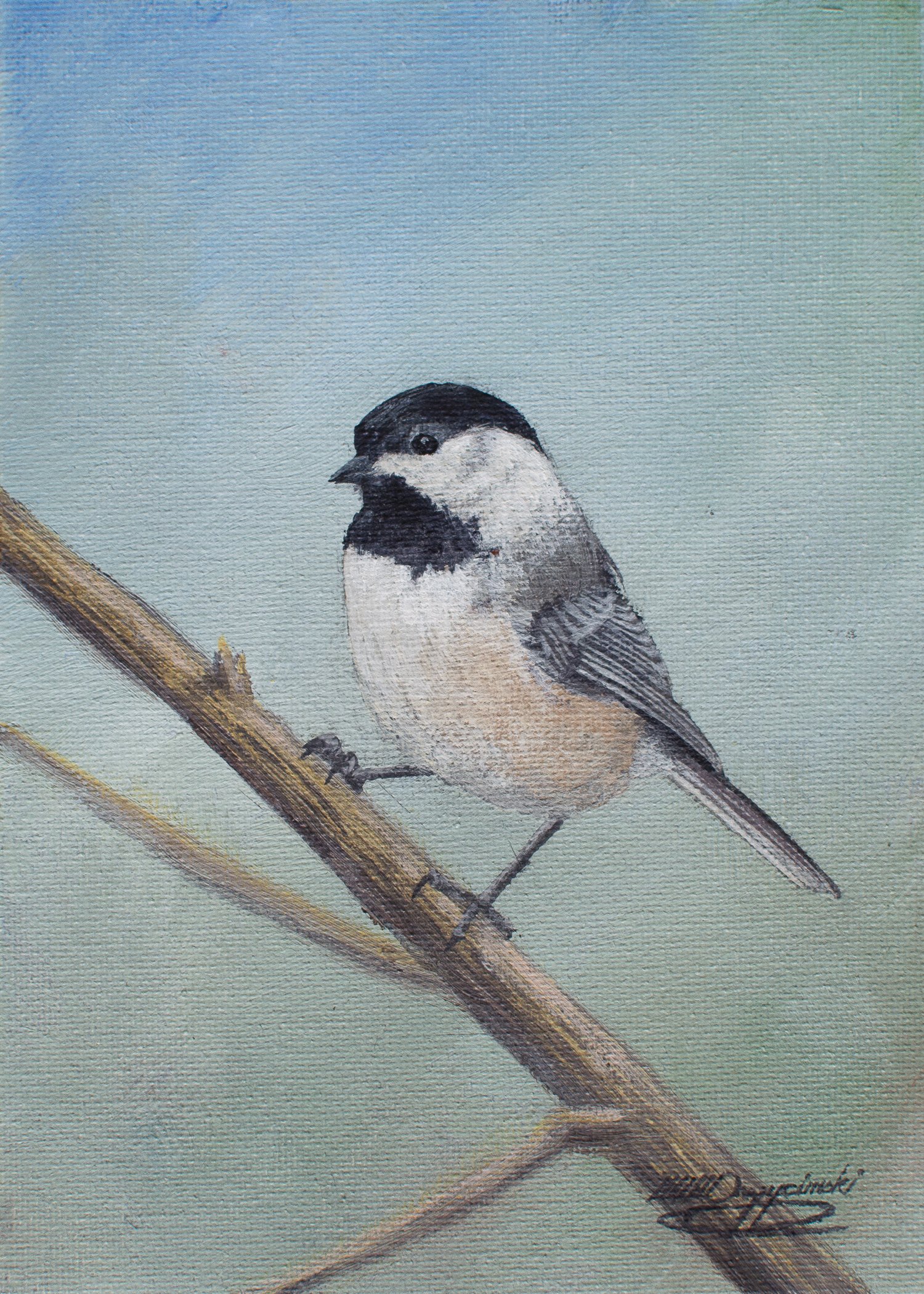 chickadee on branch