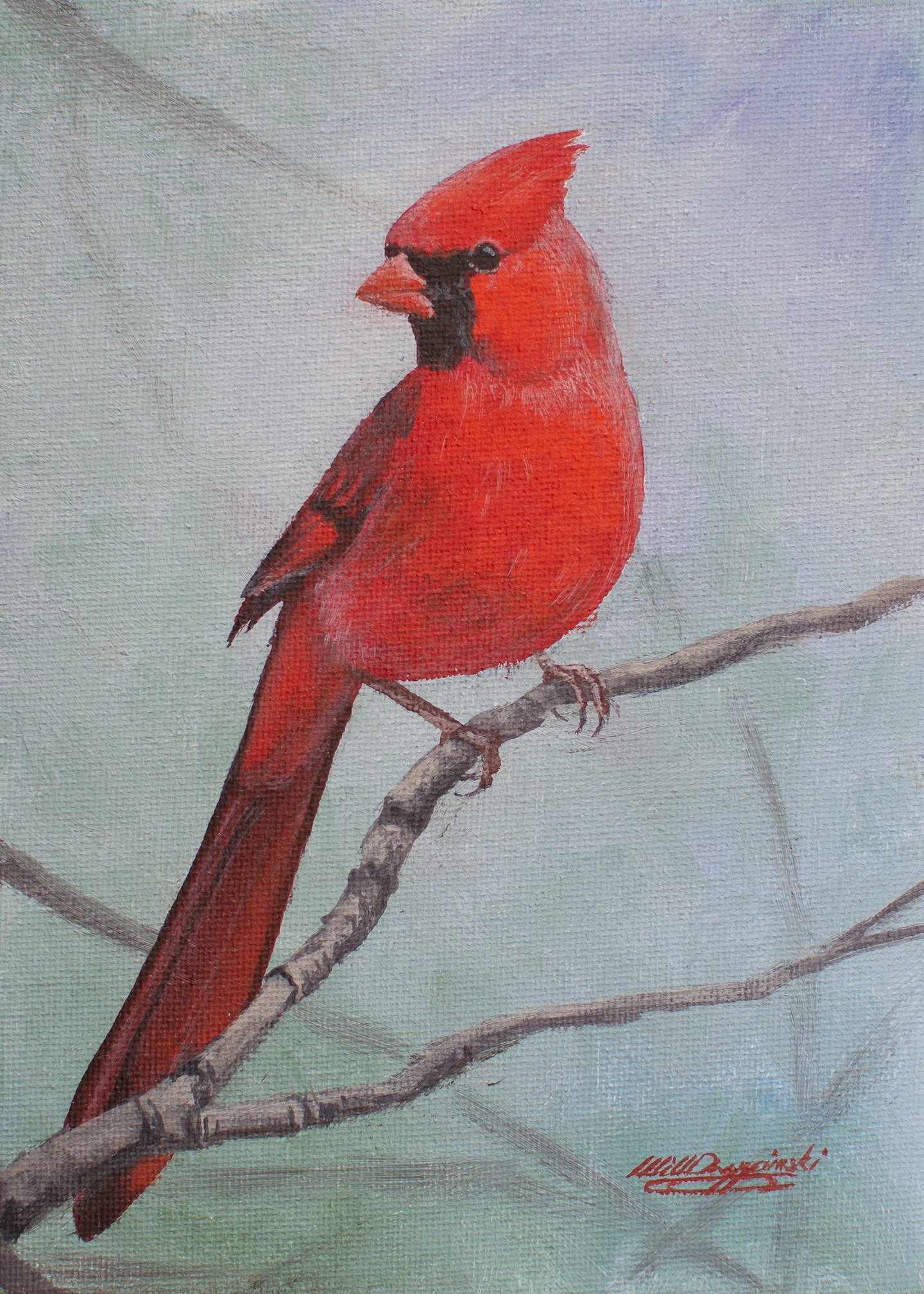 cardinal sitting on twig