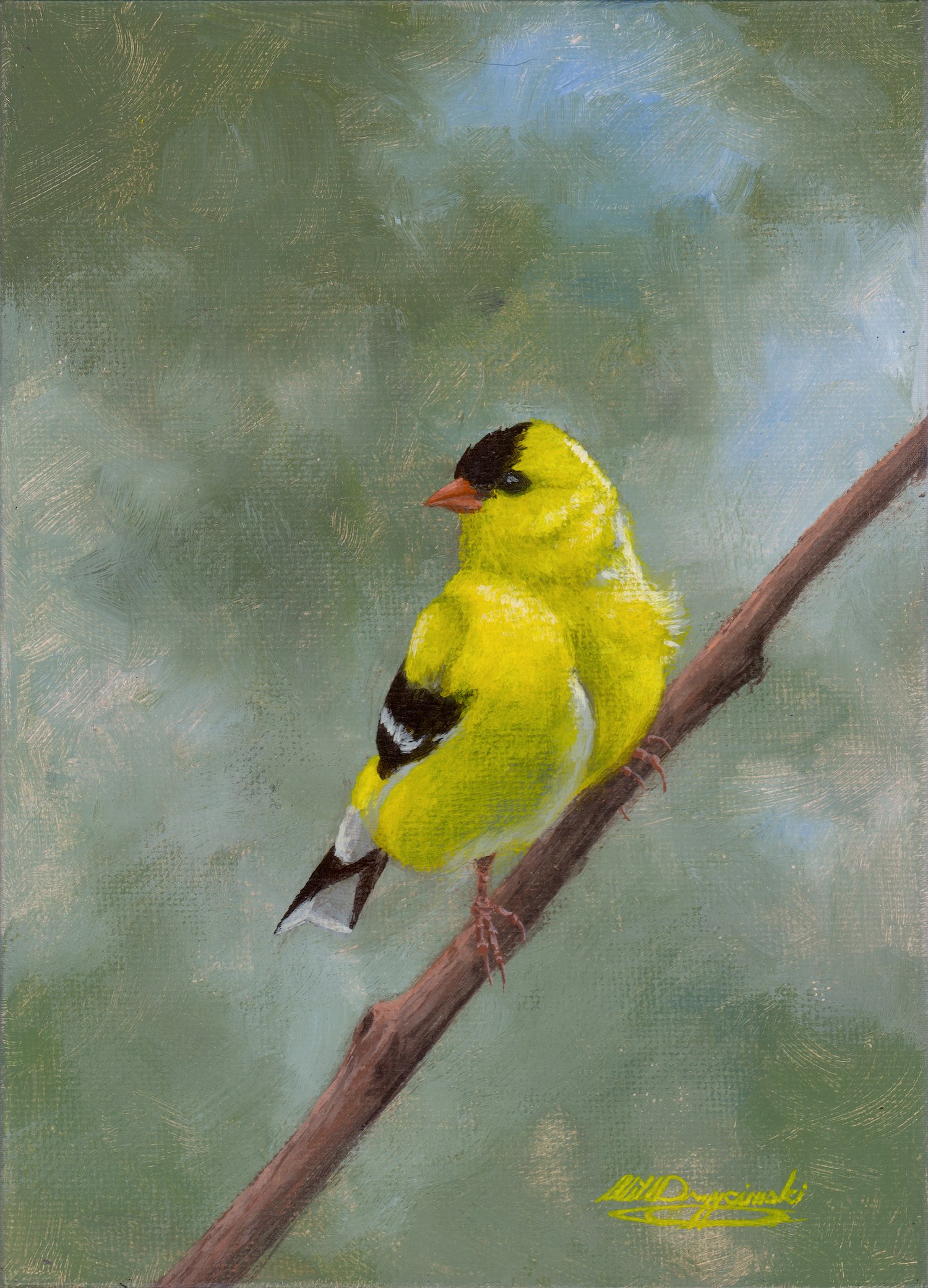 Goldfinch copy.jpg