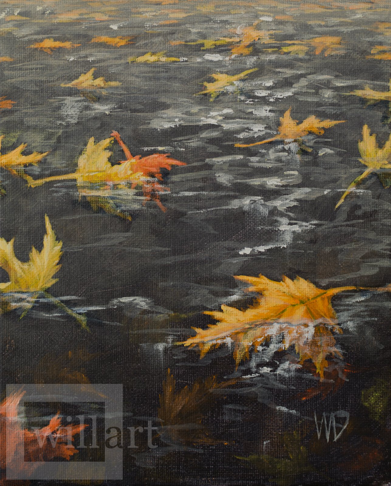 many yellow leaves float on water in stream