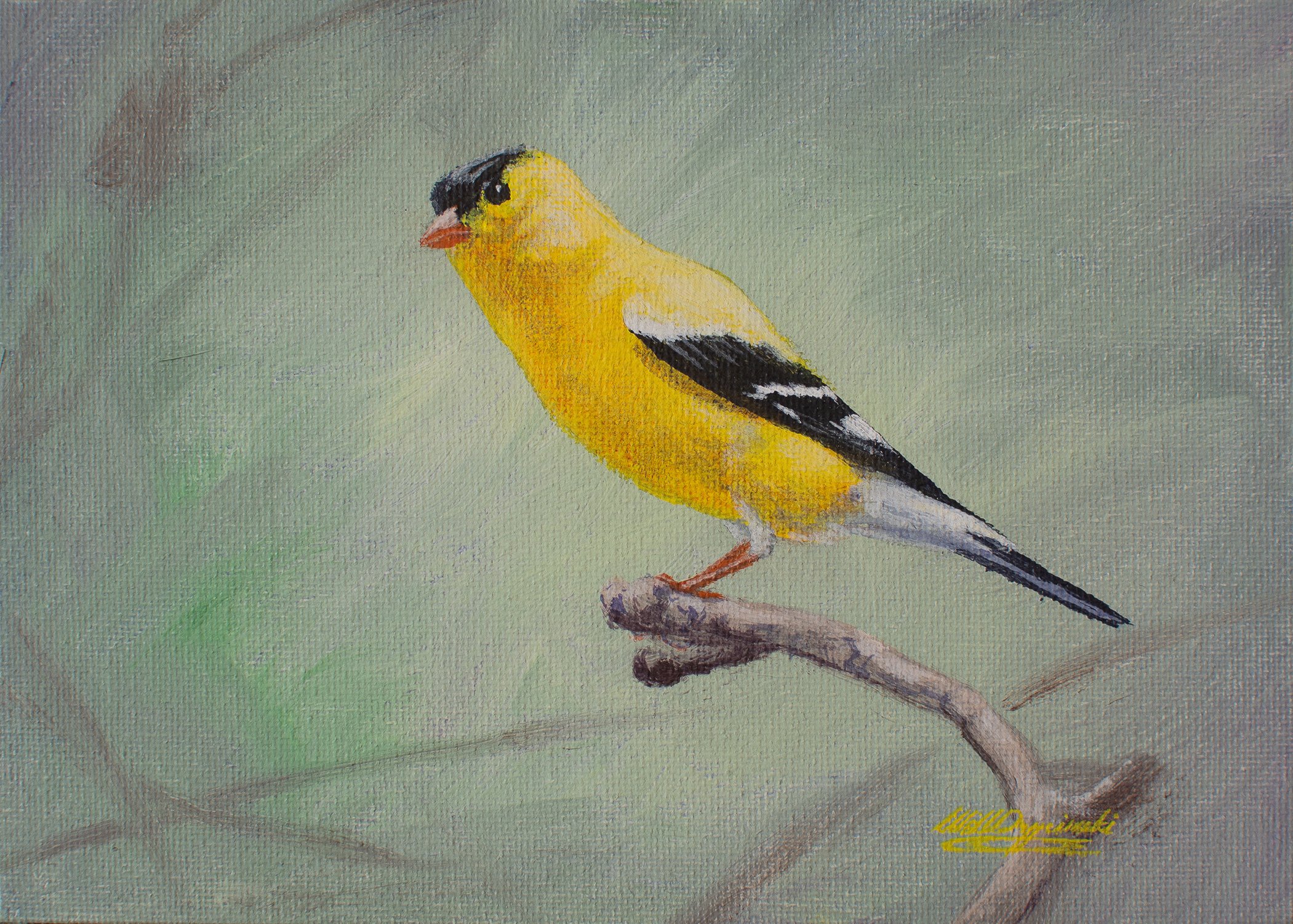 Goldfinch no watermark copy.jpg