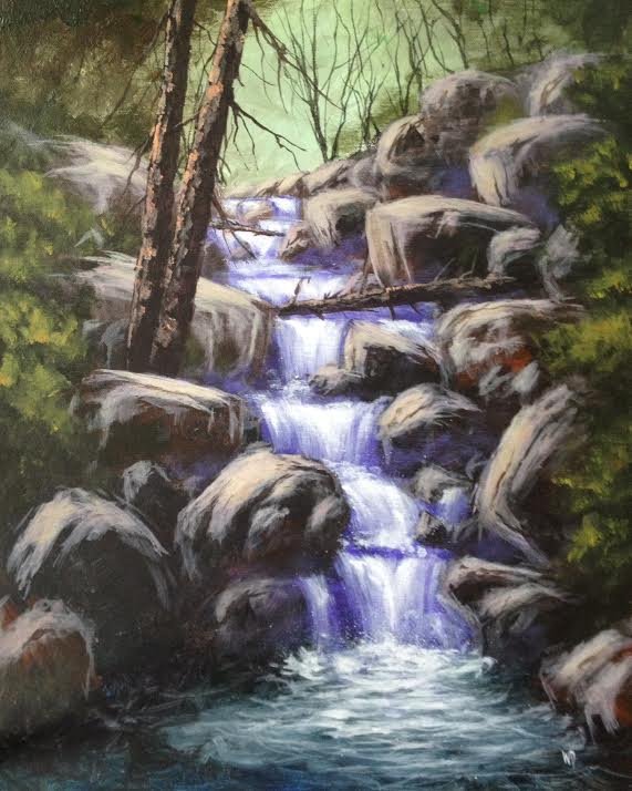 rock water fall with fallen branches